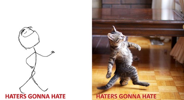 Chú mèo nhỏ nhắn và hài hước trong kiểu troll “hater gona hate” (kiểu troll GATO).